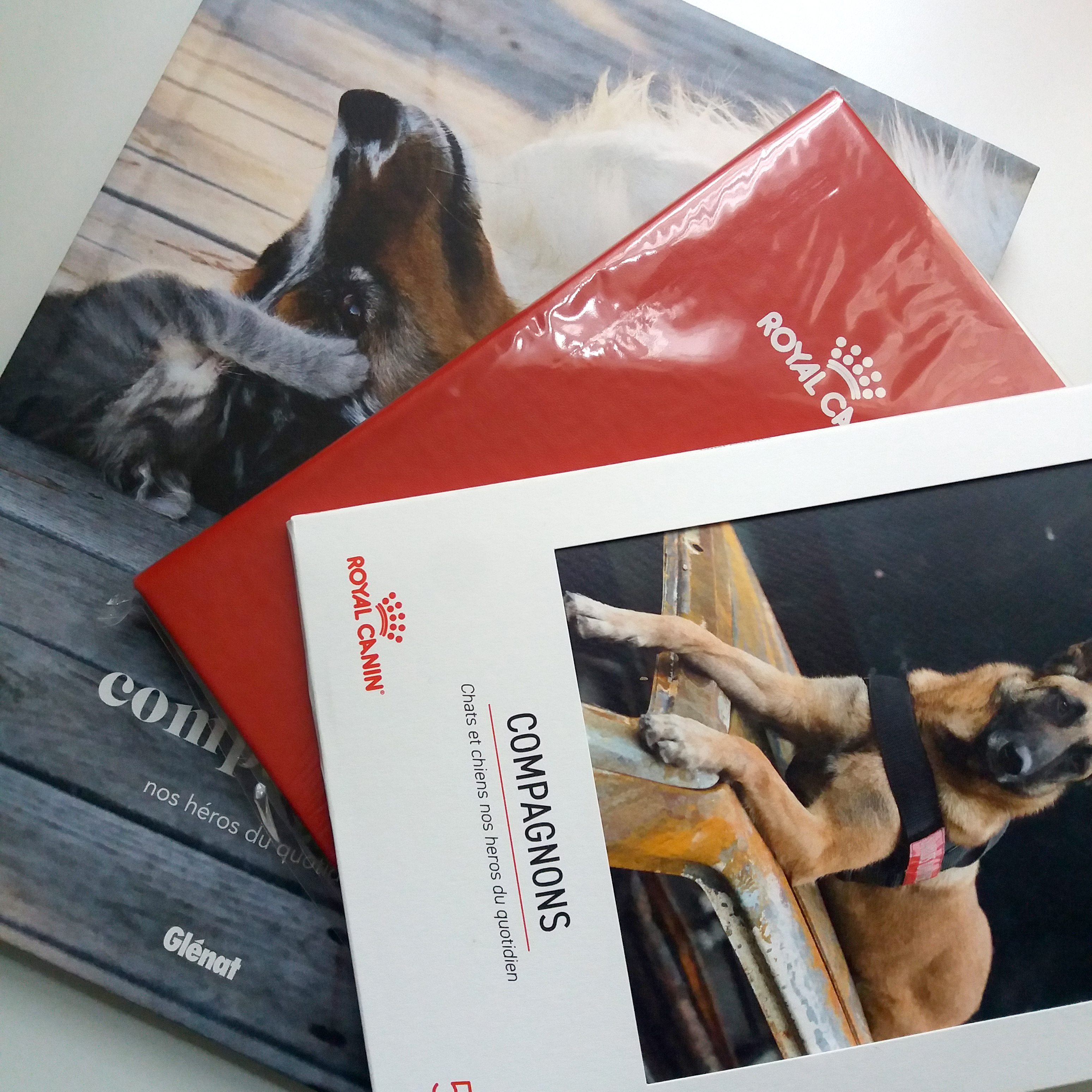 royal_canin