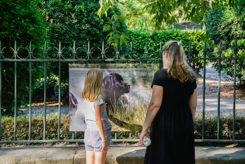 expo Royal Canin jardin d ete 2018 RB hd-4513